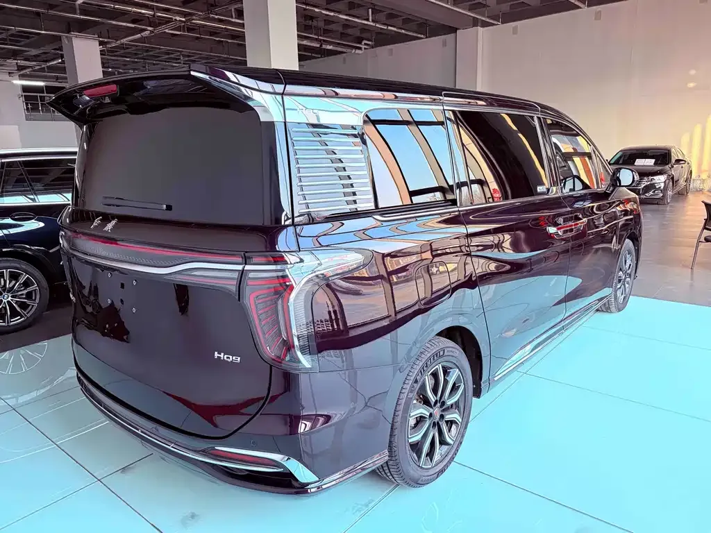 Hongqi HQ9 — фото 8