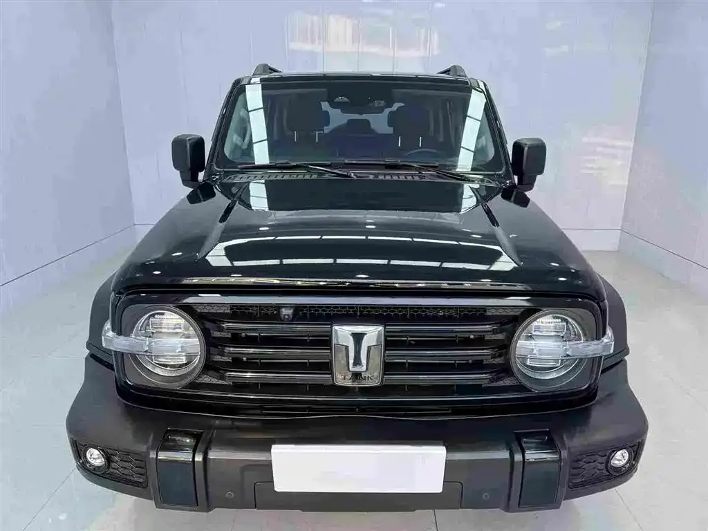 Tank 300 2023 из CN, фото 8