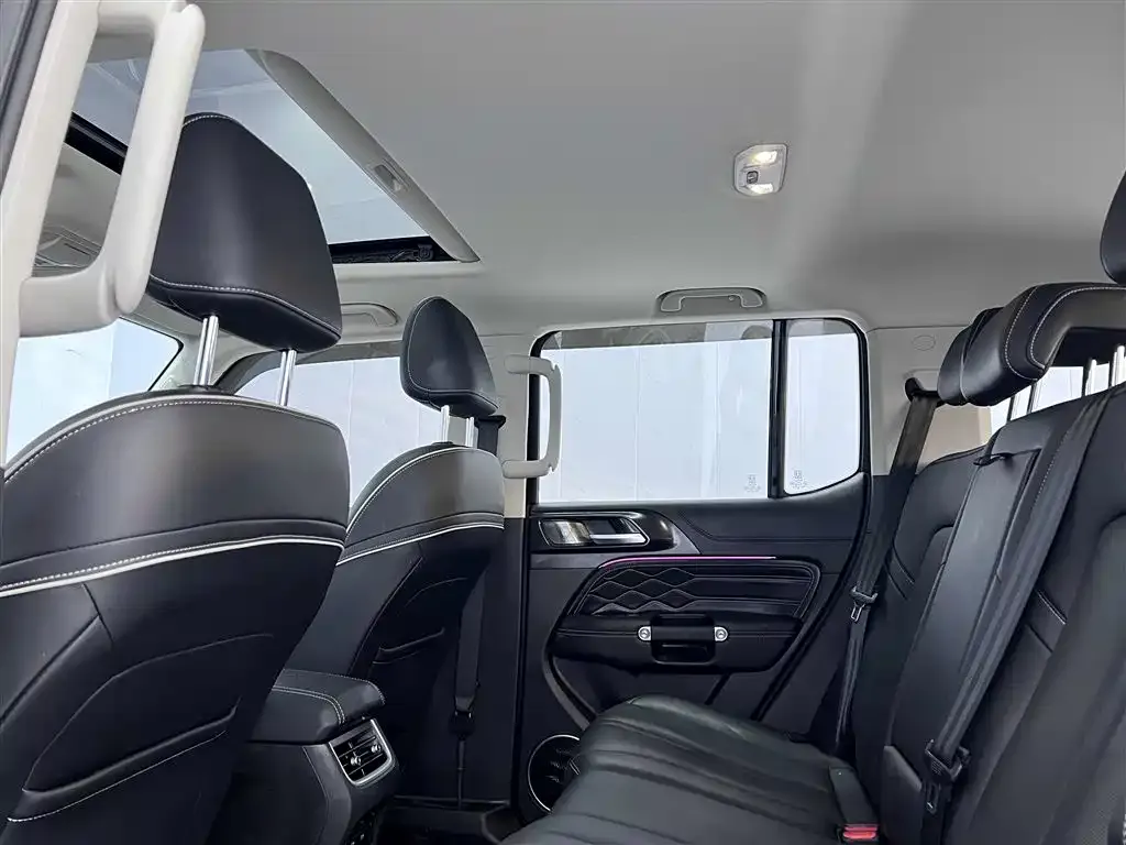 Tank 300 2023 из CN, фото 5