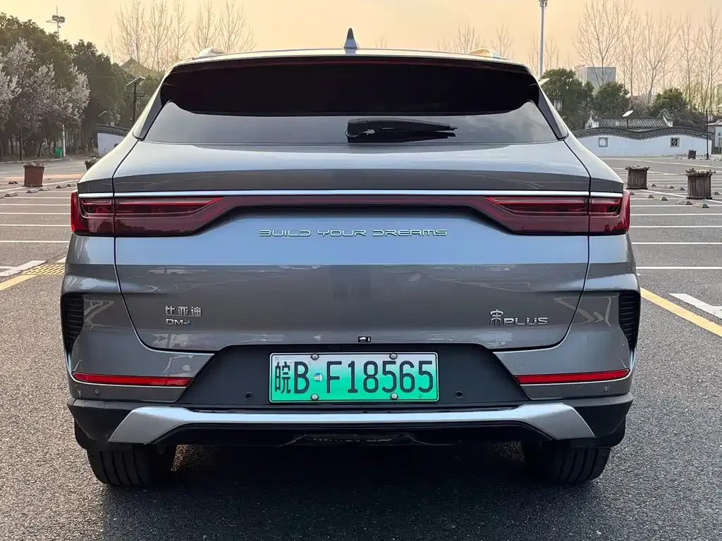 BYD PLUS New Energy — фото 7