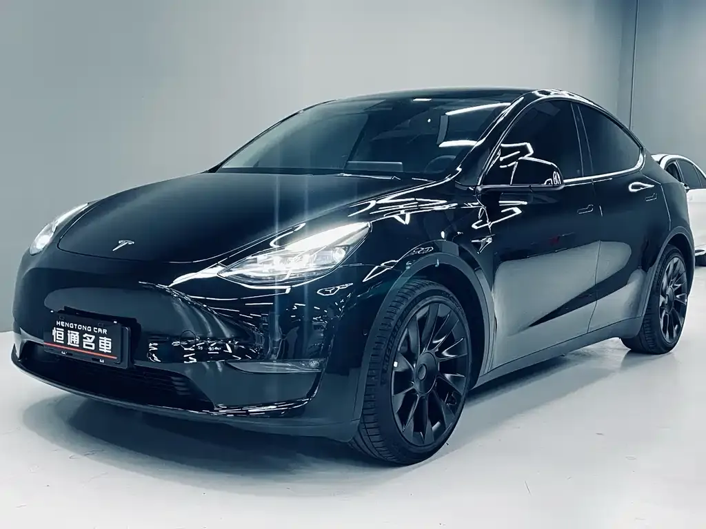 Tesla Model Y — фото 1