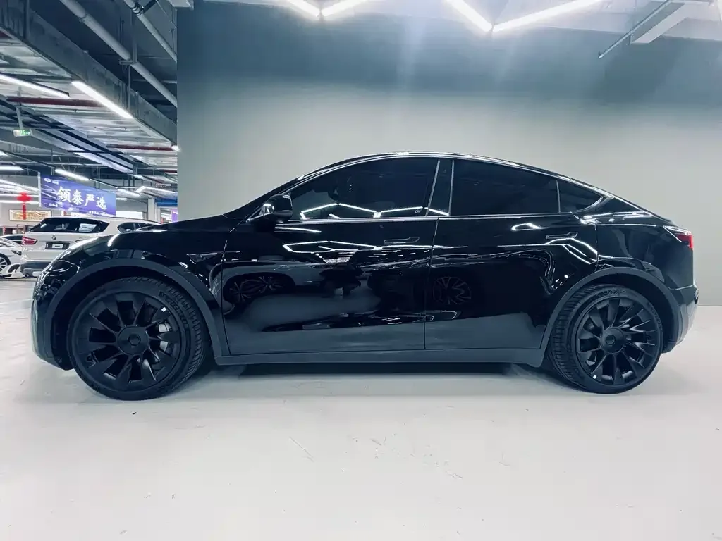 Tesla Model Y — фото 2