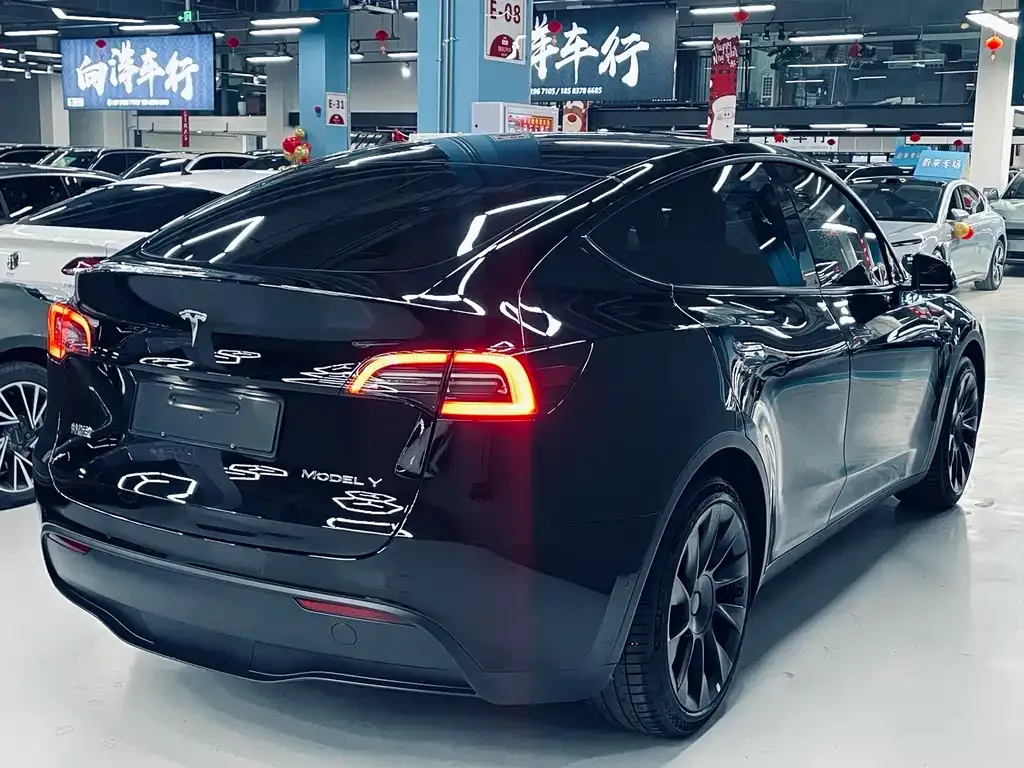 Tesla Model Y — фото 6