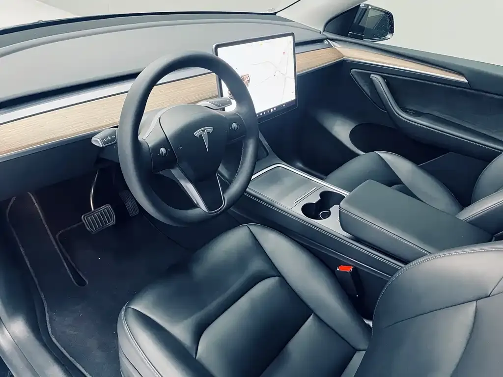 Tesla Model Y — фото 10