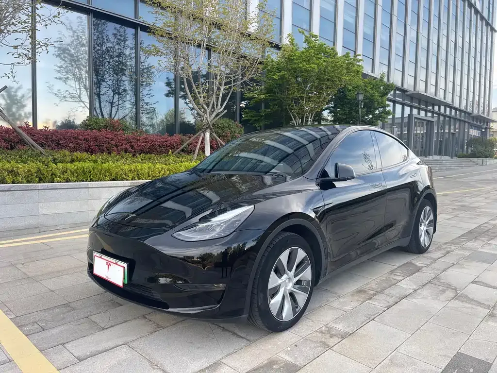 Tesla Model Y — фото 1