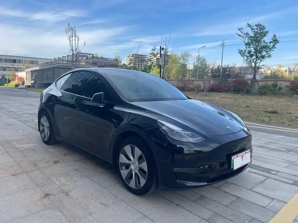 Tesla Model Y — фото 5