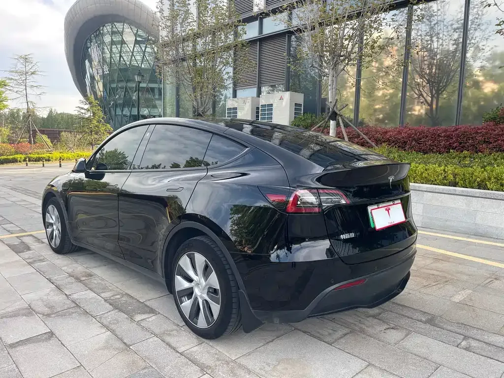 Tesla Model Y — фото 9