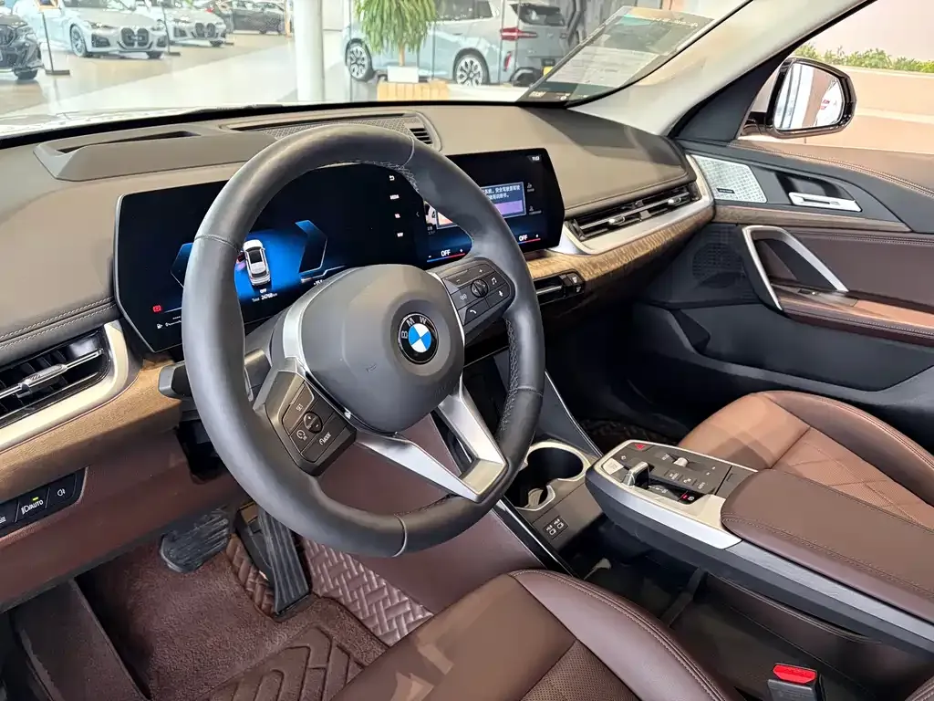 BMW X1 2023 из CN, фото 9