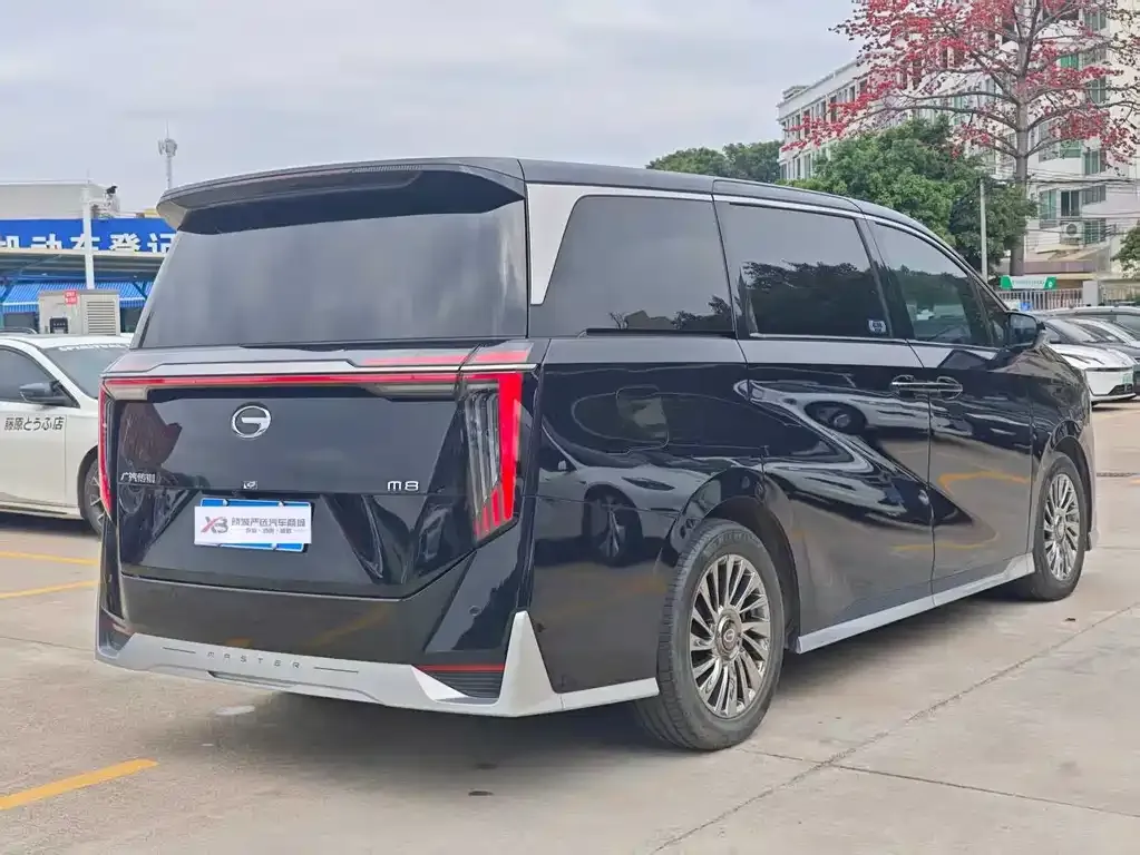 GAC Motor Trumpchi M8 2023 из CN, фото 9