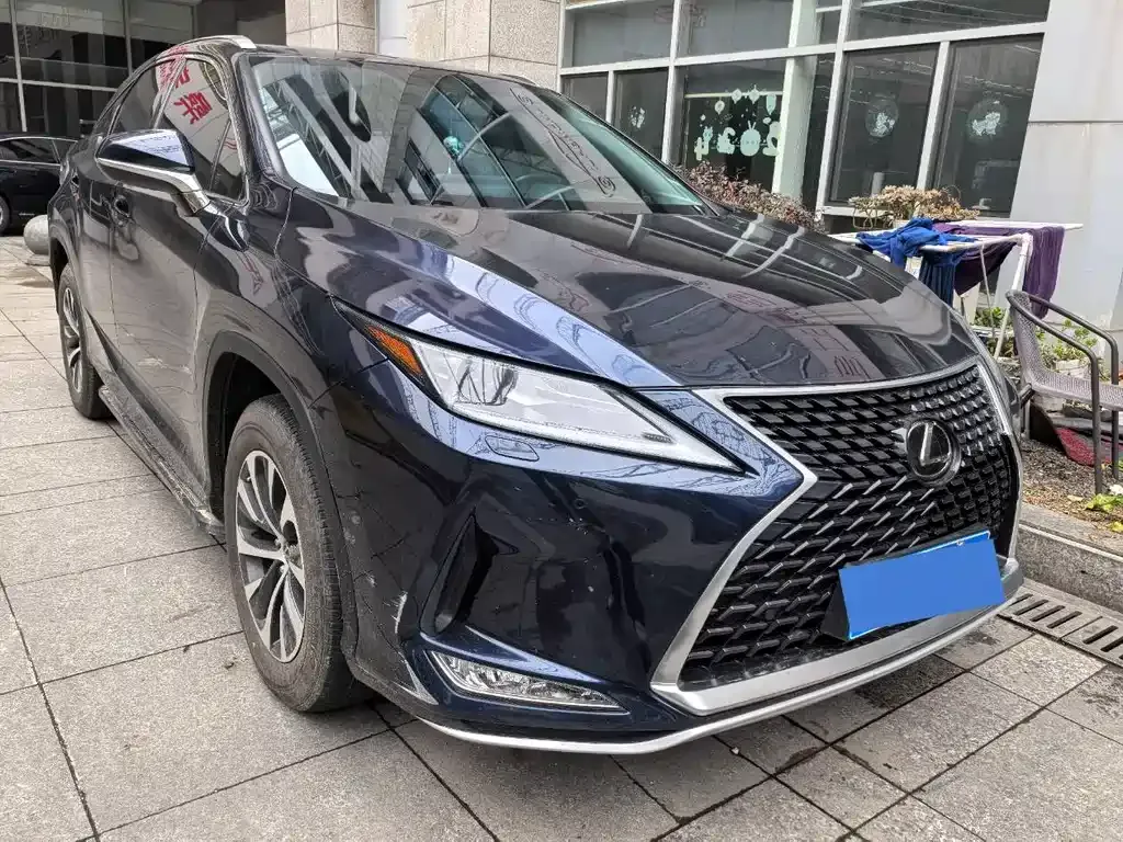 Lexus RX — фото 10