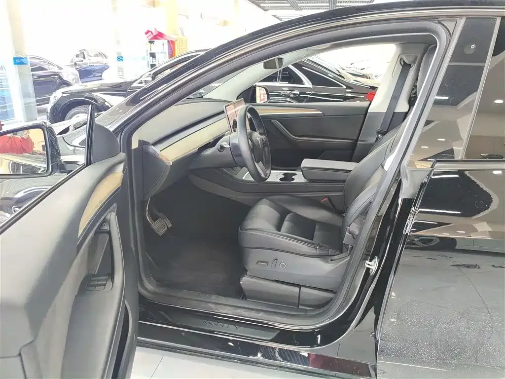 Tesla Model Y — фото 2