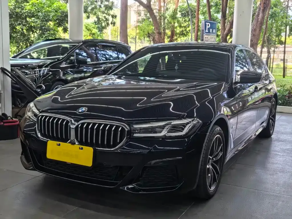 BMW 5 Series 2024 из CN, фото 1