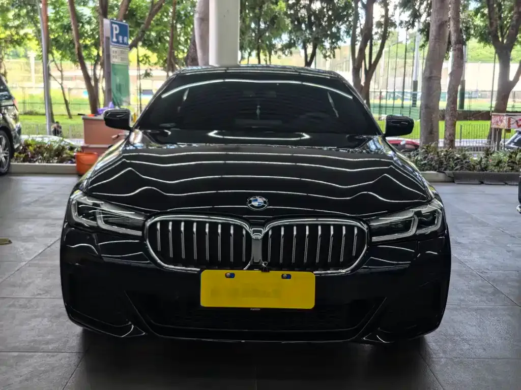 BMW 5 Series 2024 из CN, фото 3