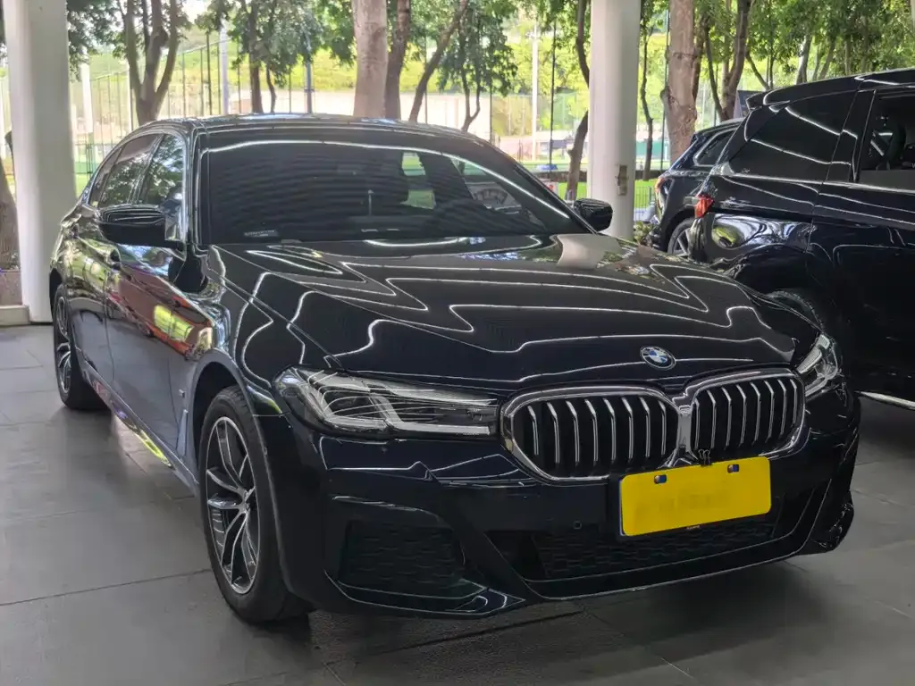 BMW 5 Series 2024 из CN, фото 10