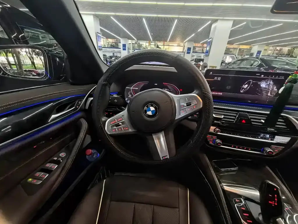 BMW 5 Series 2024 из CN, фото 6