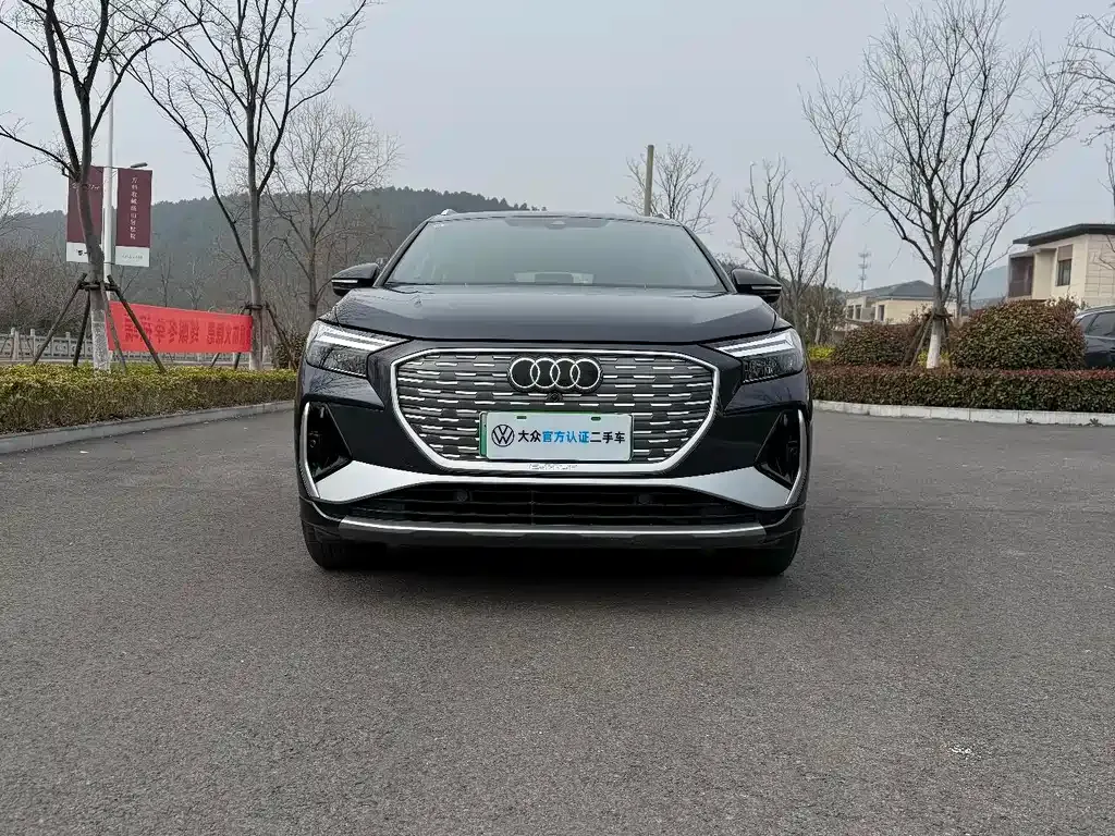Audi Q4 e-tron 2024 из CN, фото 7