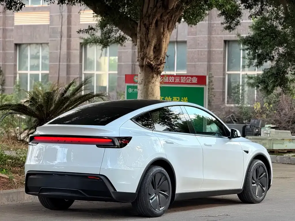 Tesla Model Y — фото 2