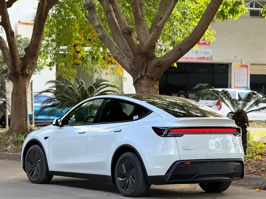 Tesla Model Y — фото 4