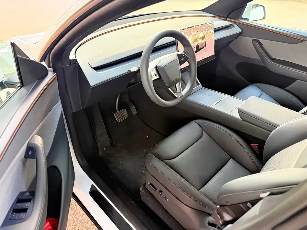 Tesla Model Y — фото 10