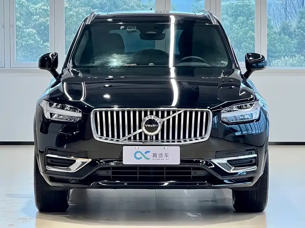 Volvo XC90 — фото 10
