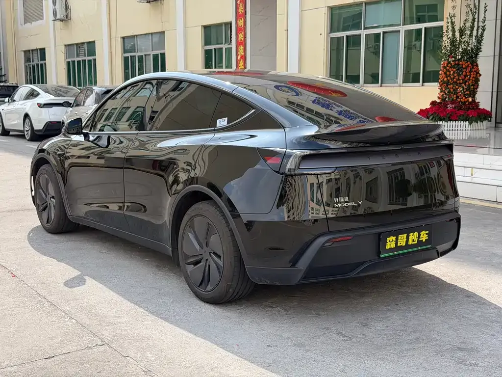 Tesla Model Y — фото 10