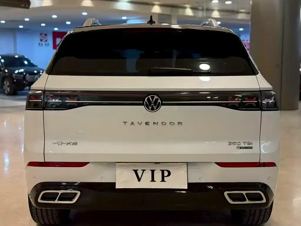 Volkswagen Tavendor 2023 из CN, фото 6