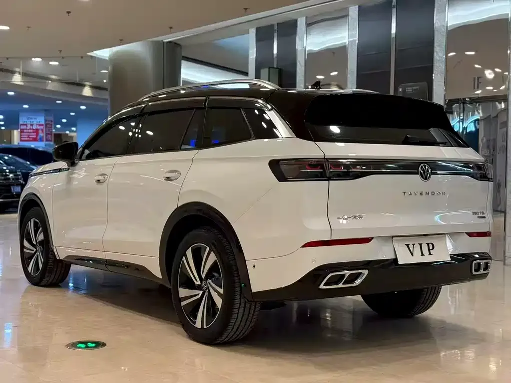 Volkswagen Tavendor 2023 из CN, фото 2