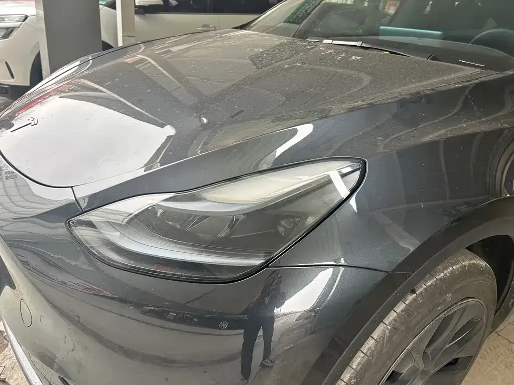 Tesla Model Y — фото 10