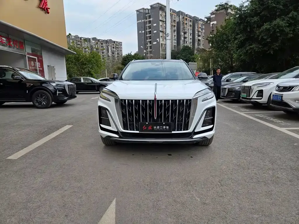 Hongqi HS3 2023 из CN, фото 8