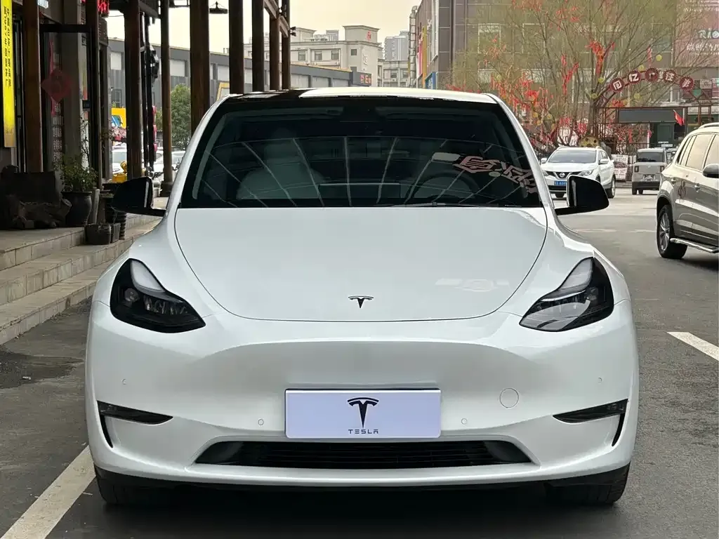 Tesla Model Y — фото 10