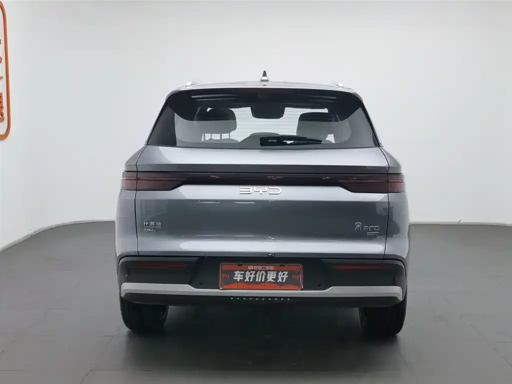 BYD Pro New Energy — фото 2