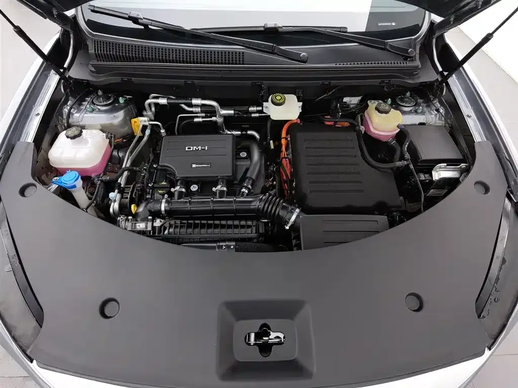 BYD Pro New Energy — фото 10