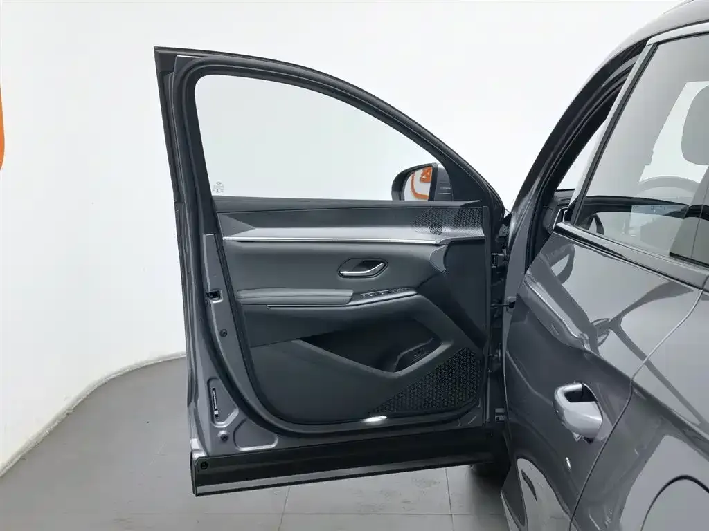 BYD Pro New Energy — фото 4