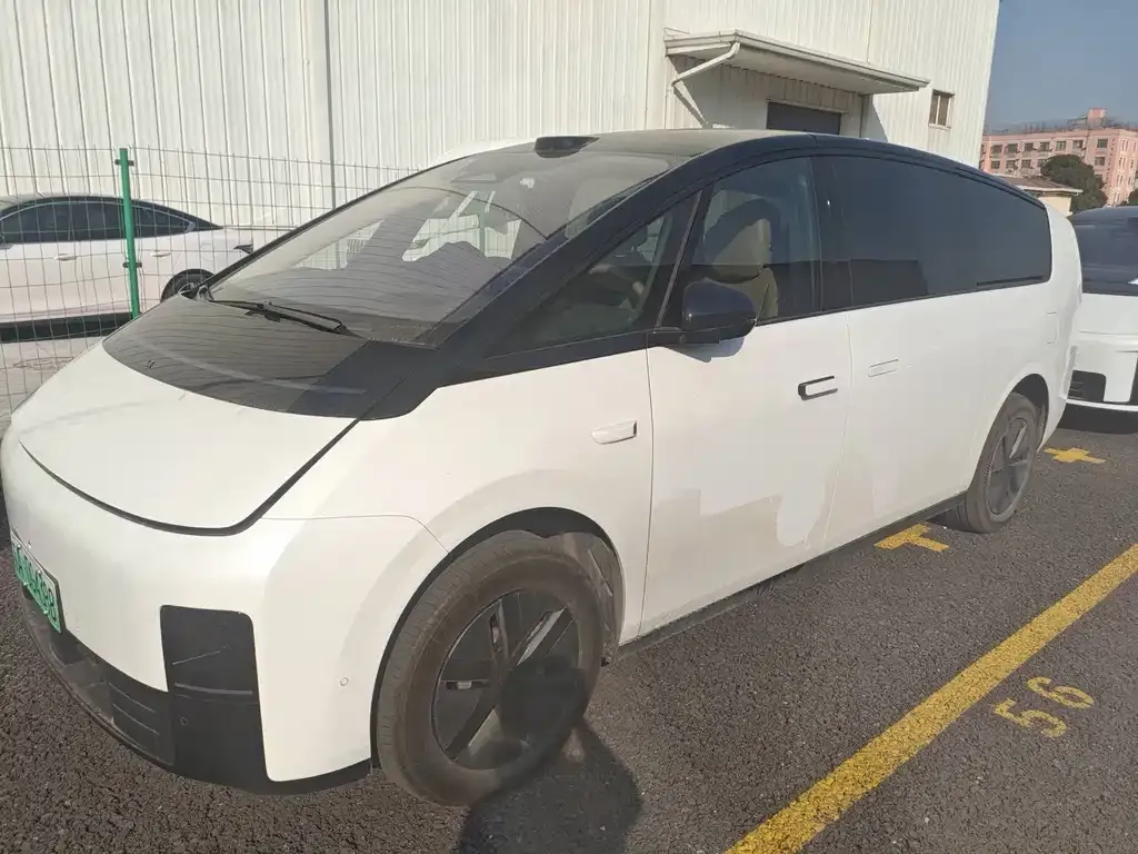 Li Auto MEGA 2025 из CN, фото 1