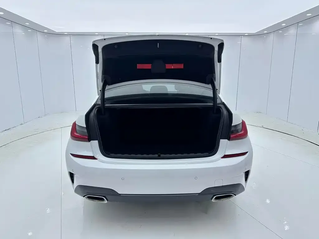 BMW 3 Series 2021 из CN, фото 4