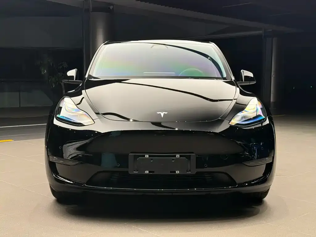 Tesla Model Y — фото 2
