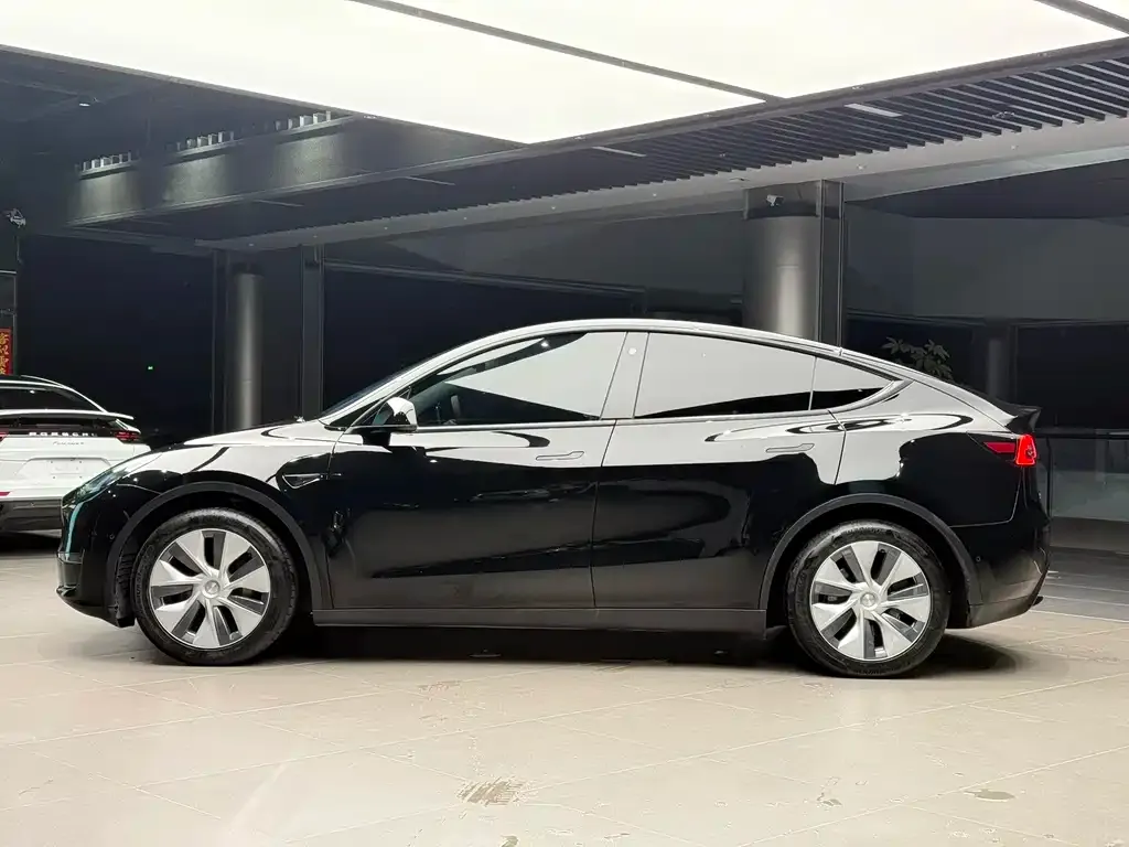 Tesla Model Y — фото 8