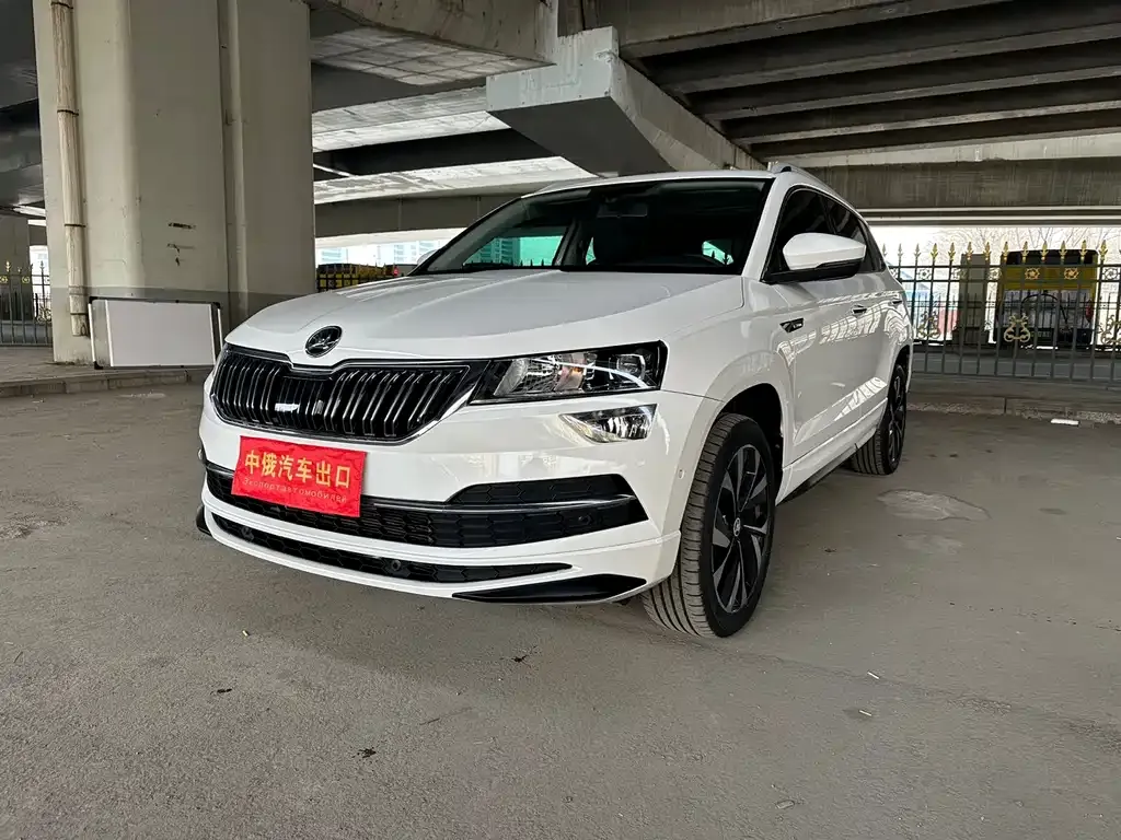 Skoda Karoq 2022 из CN, фото 1