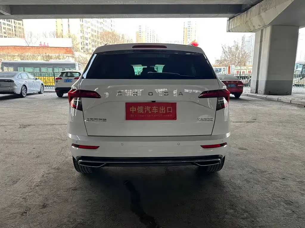 Skoda Karoq 2022 из CN, фото 6