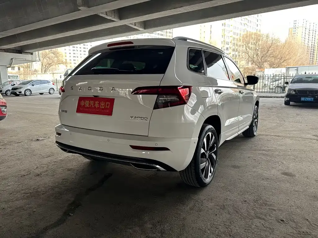 Skoda Karoq 2022 из CN, фото 8
