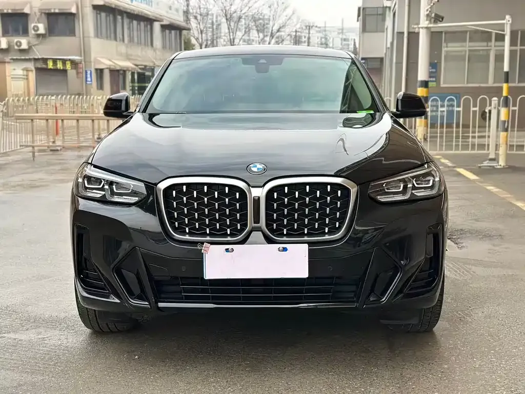 BMW X4 2023 из CN, фото 9