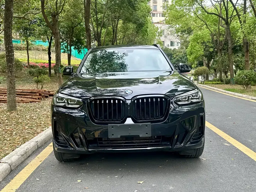 BMW X3 2023 из CN, фото 10