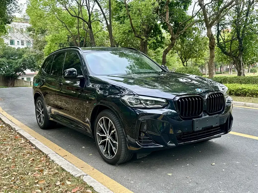 BMW X3 2023 из CN, фото 8