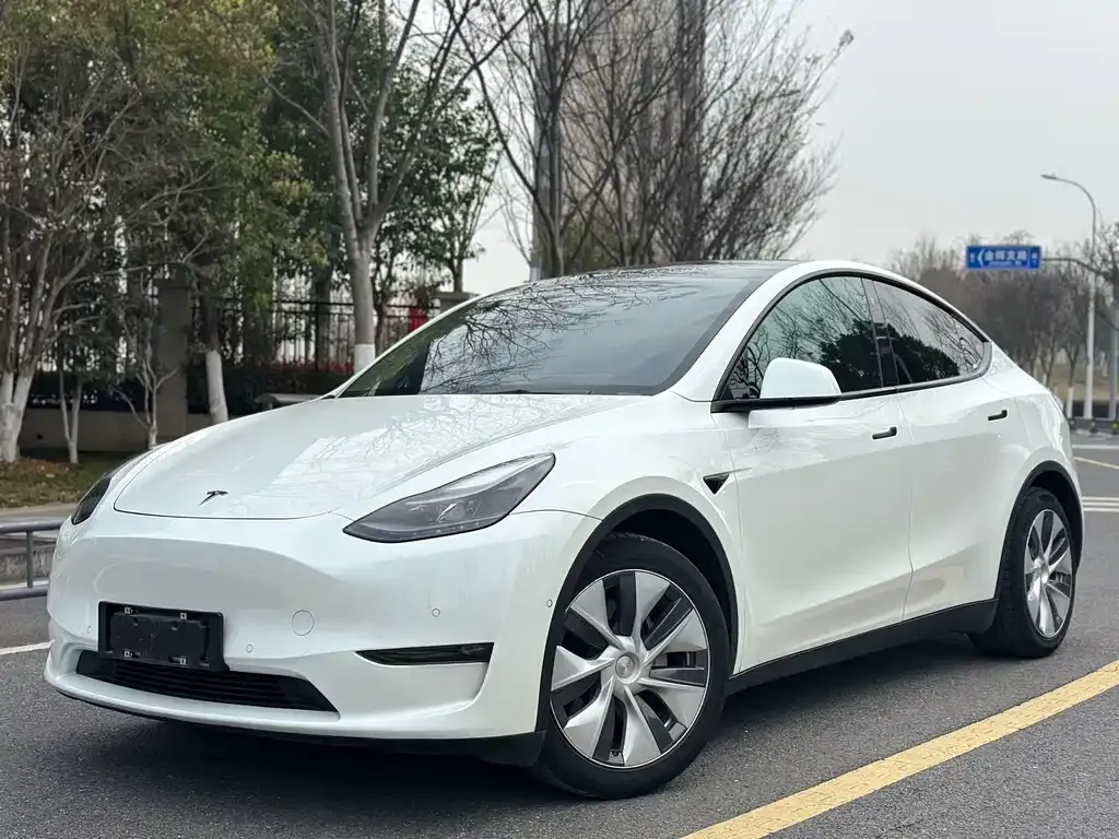 Tesla Model Y 2021 из CN, фото 1