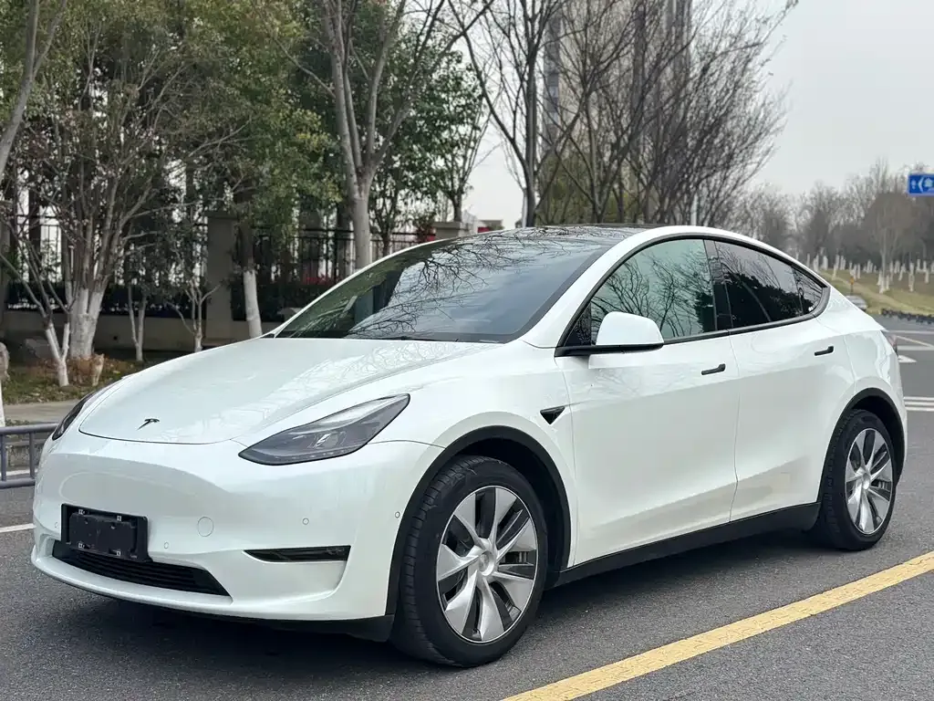Tesla Model Y 2021 из CN, фото 4