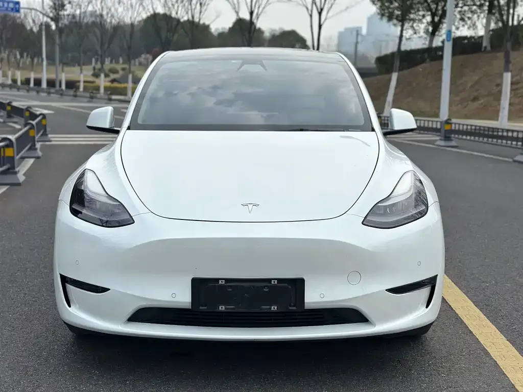 Tesla Model Y 2021 из CN, фото 7