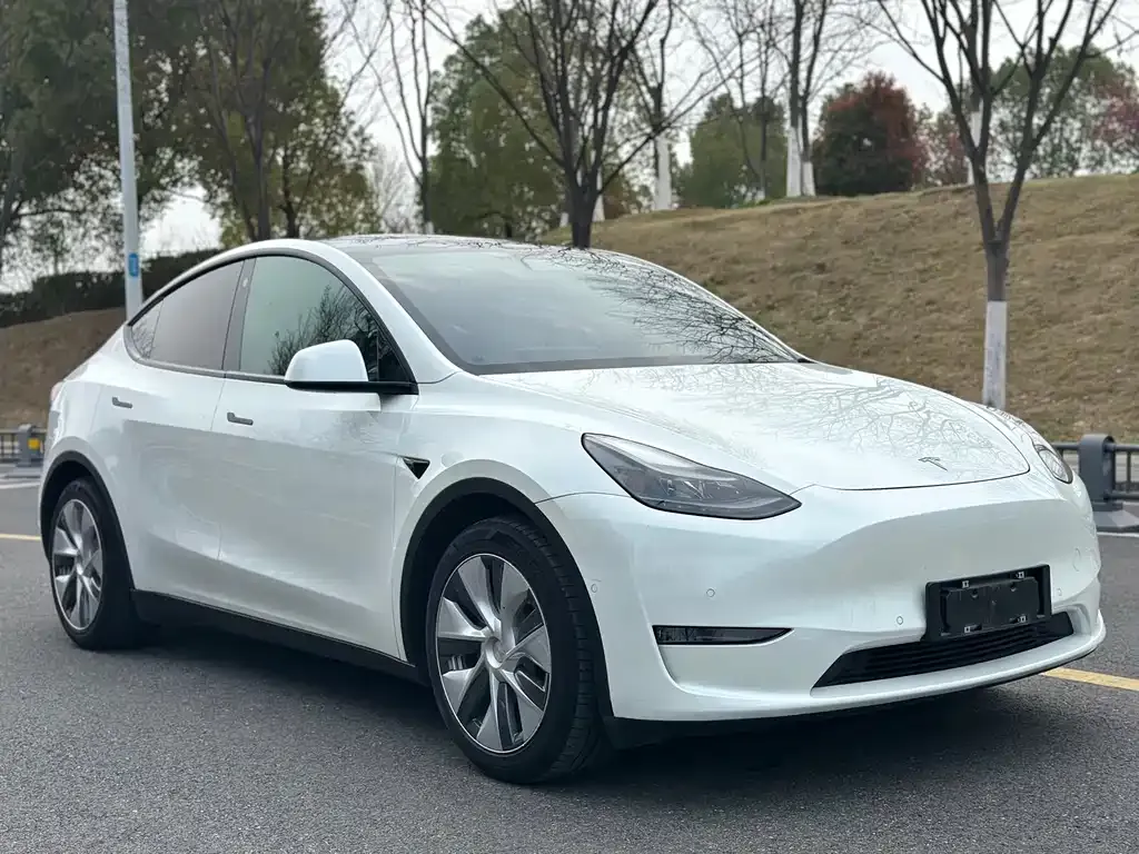 Tesla Model Y 2021 из CN, фото 2