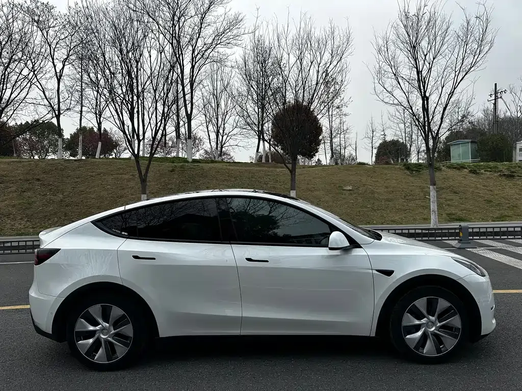 Tesla Model Y 2021 из CN, фото 9