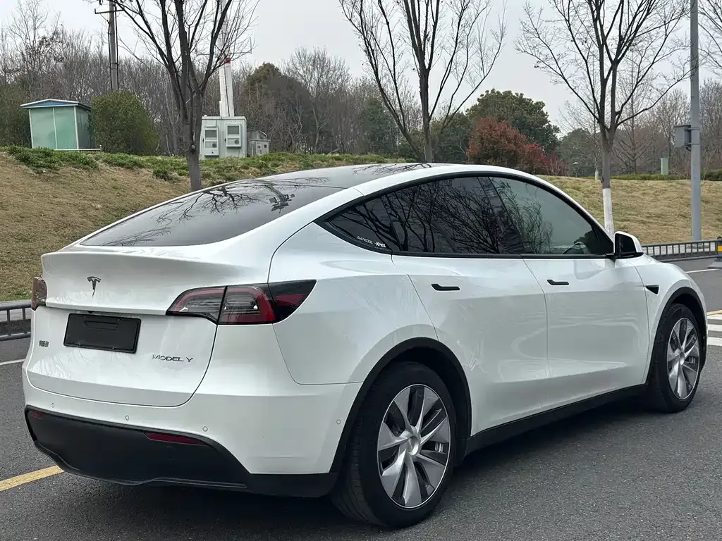 Tesla Model Y 2021 из CN, фото 6