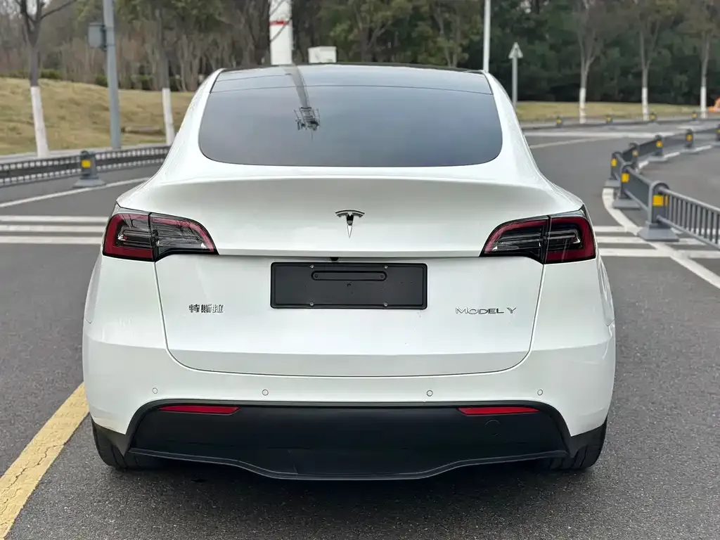 Tesla Model Y 2021 из CN, фото 3